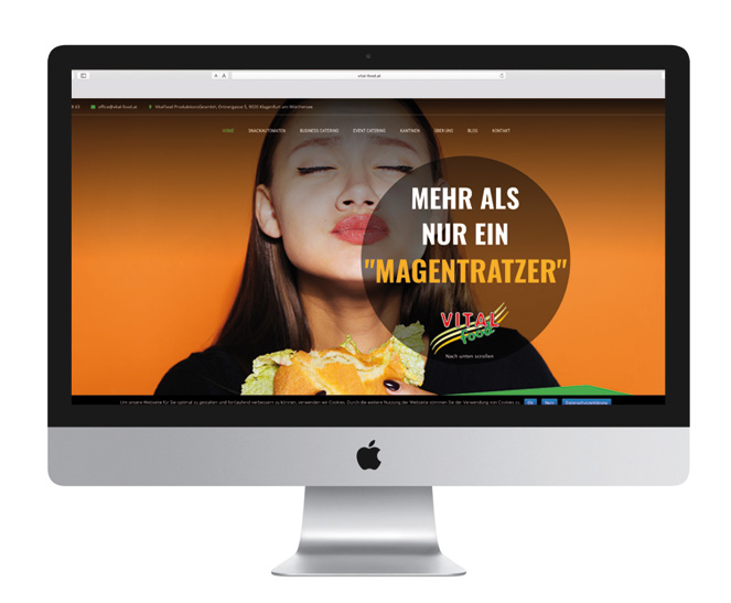 Agentur Werbereich: Website Gestaltung für Originalst, VinGin.